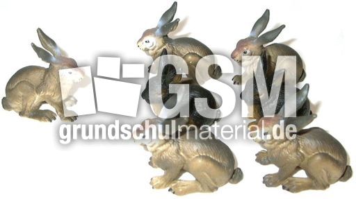 Hasen1+6.jpg